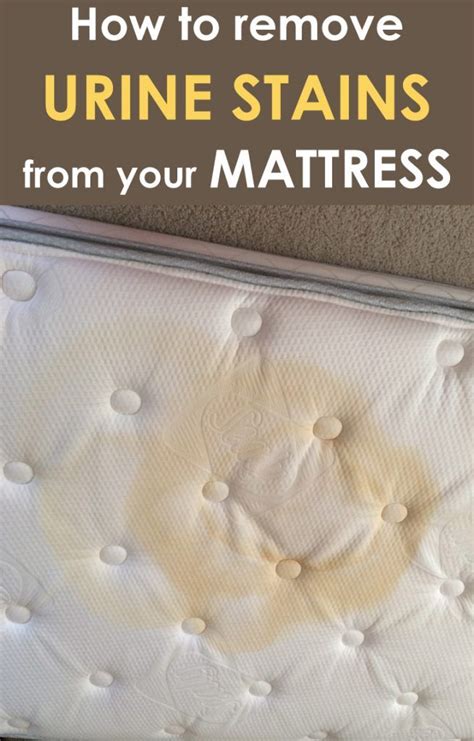 Need to learn how to clean urine from a mattress quickly? How to remove urine stains from your mattress (With images ...