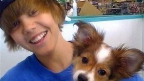 Se habría contagiado en monclova. Muere Sammy, el perro de Justin Bieber, y sus fans lloran ...