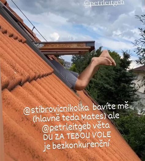 Těhotná influencerka a herečka známá z trojice 3v1 se v tajnosti provdala za svého partnera petra leitgeba. NIKOL ŠTÍBROVÁ se bála o svého syna! Zachraňovat ho musel ...