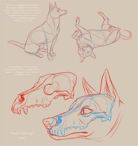 Is drawing an entire dog too much work? Carissa K. - Releasing from my Patreon. Old notes on dog ...