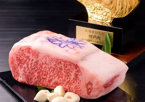 Come animali da lavoro impiegati nella coltivazione del riso. Il Manzo Wagyu e quello di Kobe: alla scoperta della carne ...