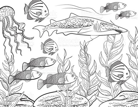 Coloring page with sea scene. Underwater School Of Fish Adult Coloring Book Page Stock ...