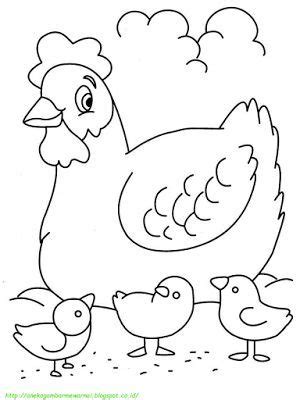 Kumpulan gambar mewarnai ayam ayam adalah sejenis unggal yang pada umumnya dipelihara oleh manusia dan dimanfaatkan sebagai salah satu kebutuhan dalam hidup. Aneka Gambar Mewarnai - 15 Gambar Mewarnai Ayam Untuk Anak ...
