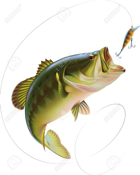 Download Bass Jumping Out of Water Clipart (65+) | Largemouth bass ...