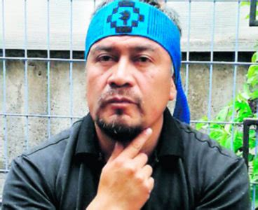 From wikipedia, the free encyclopedia. Vocero mapuche califica de fracaso del gobierno el retiro del Comando Jungla de La Araucanía