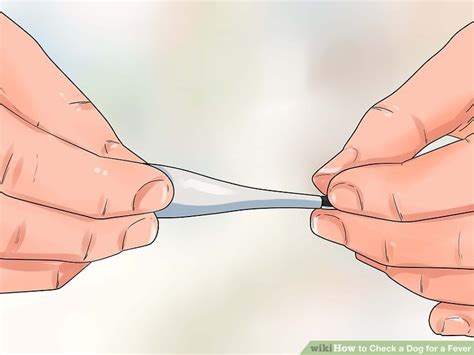 Check spelling or type a new query. 3 Ways to Check a Dog for a Fever - wikiHow