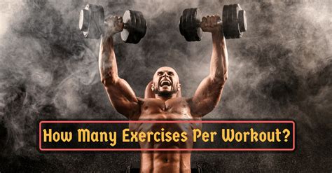 How many exercises per workout? How Many Exercises Per Workout? Efficiently Maximize Your ...