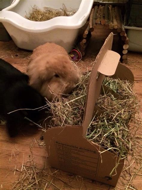 I previously made a hay rack for bao bao & luna with two nic panels and decided this past weekend that squishy needed his own to keep the hay wastage down as well as make it easier to track his hay consumption. A fab DIY hay rack. Use a FREE cardboard wine carrier from ...