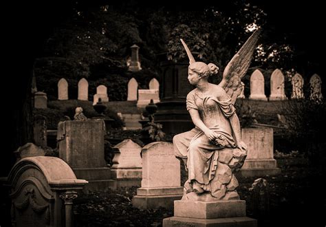 My child is neurotypical your child measures the progress of time by how many songs in their playlist they got through because that's easoer to. Mount Auburn Cemetery Guardian Angel Photograph by Michael ...