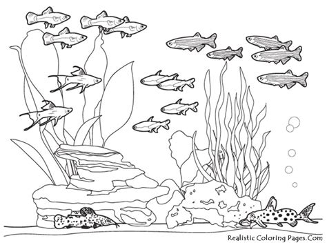 There are 32 amazing ocean coloring pages all ready to print and color. Get This Ocean Coloring Pages for Kids 73bsl