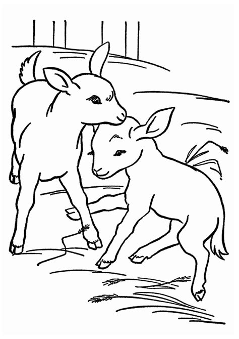 Make a coloring book with baby goat for one click. Ziege: Ausmalbilder & Malvorlagen - 100% KOSTENLOS