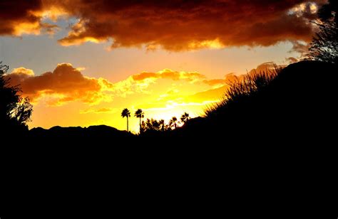 There's gold in them hills. There's Gold In Them Thar Hills Photograph by Jay Milo