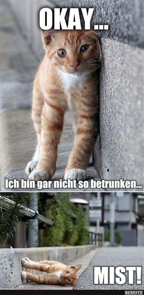 Drücke nun leicht auf ihre nase und sage dazu: 17 Best images about Zum lachen on Pinterest | Deutsch ...