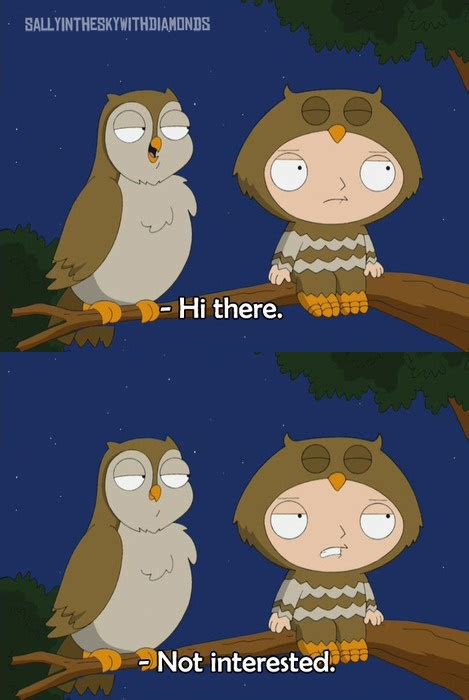 Make your own images with our meme generator or animated gif maker. Stewie Gets Hit On While Pretending To Be An Owl On Family Guy