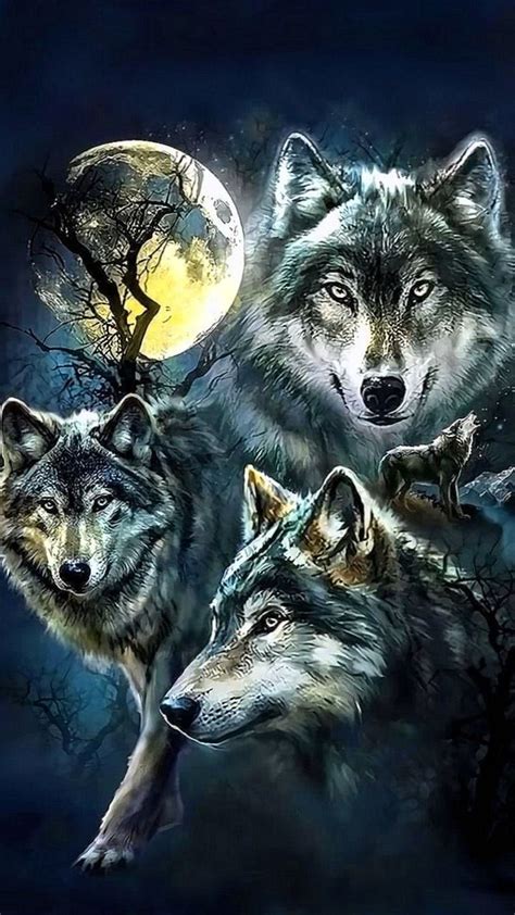 On average wolves measure 105 160 cm in length and 80 85 cm at shoulder height. Wolf Wallpapers For iPhone - Wolf-Wallpapers.Pro