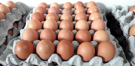 Kuning telur gred a mesti memenuhi piawaian yang sama dengan gred aa, berdiri tinggi dan bebas dari cacat. Menteri Beri Jaminan Harga Telur Ayam Akan Stabil Semula ...