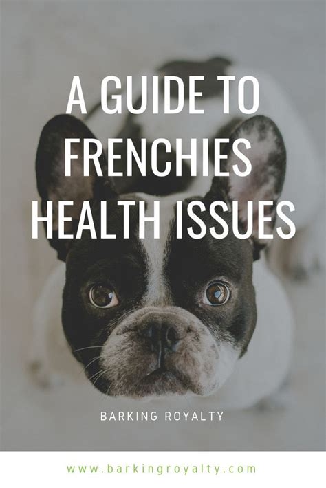 Giving you bulldog information, tips and advice for owners and prospective bulldog puppy buyers. French Bulldog Health Issues (The Definitive Guide in 2020 ...