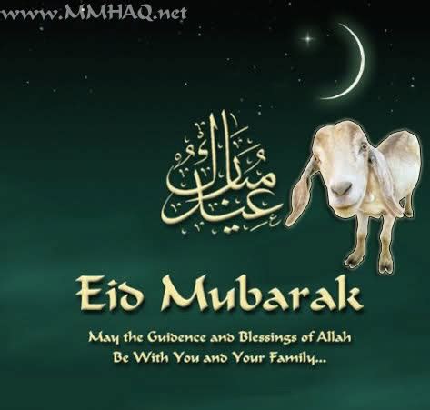 Bakra Eid / Eid Ul Adha Collection ( Wallpapers + SMS ...