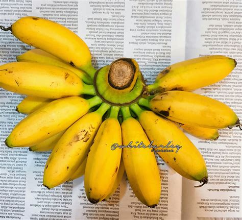 Pisang Emas Dibawa Berlayar