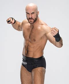 They lost out to ambrose and rollins to add insult to injury, but arguably had the best match of the night. Image - Cesaro!.jpg | Pro Wrestling | Fandom powered by Wikia