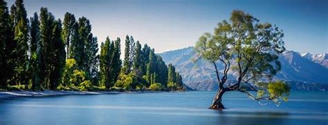 Collection by christopher boswell content creator • last updated 10 weeks ago. © Amril Izan Imran / Alamy Stock Photo | Lake wanaka ...