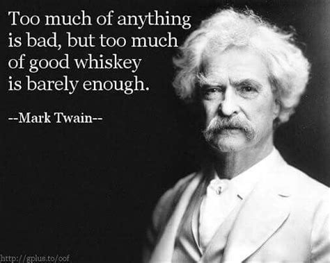The prince and the pauper. ~ Mark Twain | Whiskey quotes, Mark twain quotes, Whisky quote