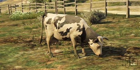 Apr 28, 2020 · gta online peyote plants: GTA 5 Animals