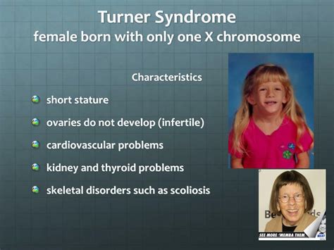 ppt-genetic-disorders,-blood-typing,-and-genetic-engineering-powerpoint-presentation-id-5631862