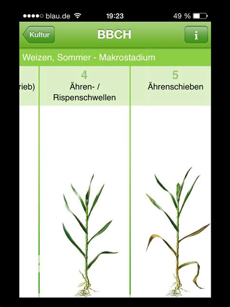 BBCH Bestimmer - Waidmanns Dank!