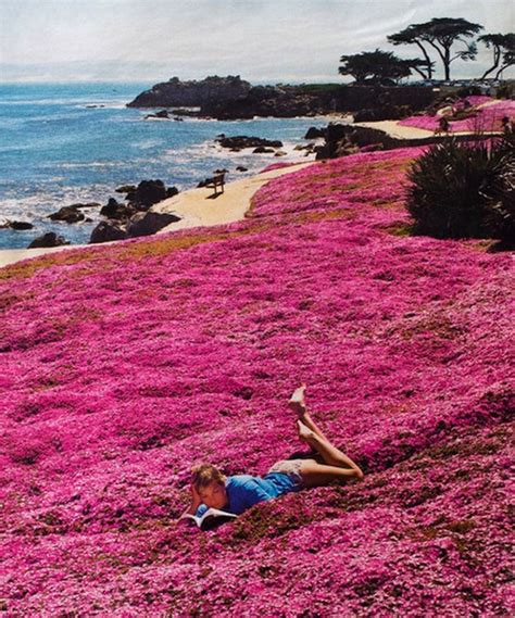 Hermosa chica leyendo un libro · descargas desde hermosa chica leyendo un libro · descargas desde istock by getty images. Chica leyendo un libro en el campo de las flores | Chica ...