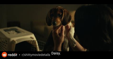 At the ending of john wick , wick is seen entering an animal shelter to heal his wounds from his fight with viggo. John Wick's dog is named Daisy, when it dies, John wick ...