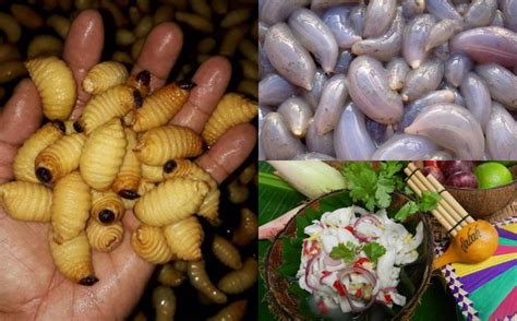 *harga makanan dan minuman yang tertera di sini mungkin berbeza dengan harga semasa. Empat Makanan Eksotik Popular Di Malaysia, Anda Berani Nak ...