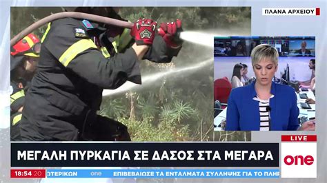 Τετάρτη 2 ιουνίου 2021, 13:45. Πυρκαγιά σε δασική περιοχή στα Μέγαρα - ONE TV