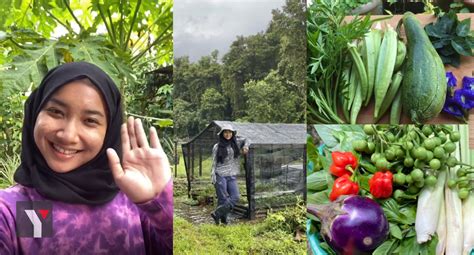 Sepenuh masa kajian biasanya dibuat oleh mahasiswa. Berhenti Kerja & Jadi Pekebun Sepenuh Masa, Gadis Ini ...