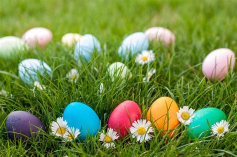 Enjoy lively and amusing hunting games suitable for young toddlers and older teenagers. Easter Egg Hunt at the American Rose Center set for April ...