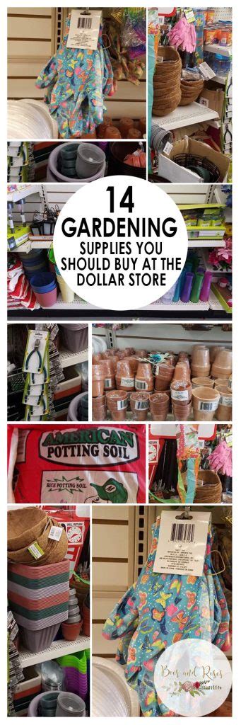 Check spelling or type a new query. 14 Dollar Store Gardening Supplies To Buy ~ Bees and Roses