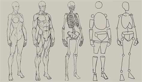 Unique methods of drawing human anatomy into one groundbreaking volume: ArtStation - 20161015, NAMGWON LEE | Figure drawing ...