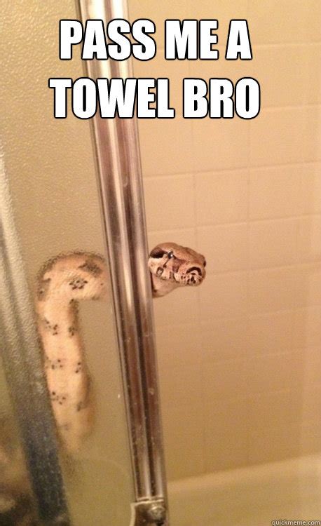 Jerking me off in the shower. Pass me a towel bro - Shower Snake - quickmeme