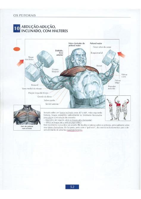 Squeeze the lats while lowering to really feel the burn! Guia dos Movimentos de Musculação | Belly workout ...