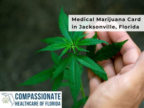 We did not find results for: Medical Marijuana Card in Jacksonville, Florida ...