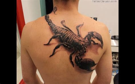 These 3d tattoos also bring in a sense of mystery, and if combined with the tribal scorpion, it might even blow your mind. Amazing Tattoo World: 3D Dangers Scorpion tattoo on the back