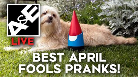 We've collected all the best ones here and will continue to update throughout the day as more companies exercise their wit and humor. BEST APRIL FOOLS PRANKS! - YouTube