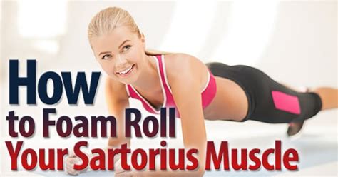 It also abducts the thigh and rotates it laterally, as when resting the foot on the opposite knee when sitting. How to Foam Roll Your Sartorius Muscle - Exercises For ...