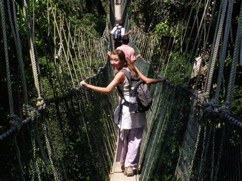 Taman negara canopy walkway, malaysia (source: Shoot The Planet: Canopy Walkway - Taman Negara National ...