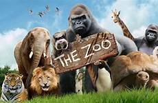 zoo animals comedy cbbc ran if life tv series different
