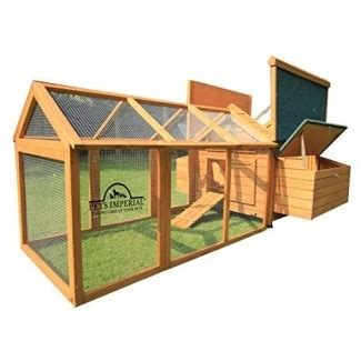 > cages, hutches & enclosure. 50+ Chicken Coop for 6 Chickens You'll Love in 2020 ...