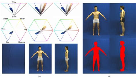 Some of them are very similar to the hsl model while others get way closer to the visible. (a)Projection of images onto the HSV color space: Empty ...