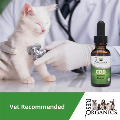 The extracted cbd may be mixed into a variety of oils, including coconut, salmon, avocado, and palm. CBD Hemp Oil for Pets - ResQ Organics CBD for Dogs, Cats ...