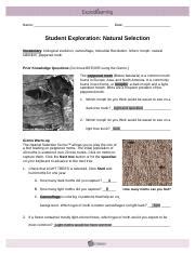 When a person has a. Gizmo Natural Selection Answer Key Pdf + My PDF Collection 2021