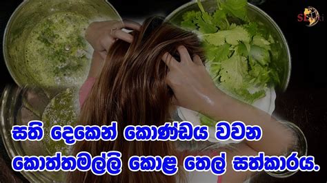 Curry leaves boost the restoration process of the scalp which opens up the clogged hair follicles and allow them to breathe. සති දෙකෙන් කොණ්ඩය වවන කොත්තමල්ලි කොළ තෙල් සත්කාරය ...